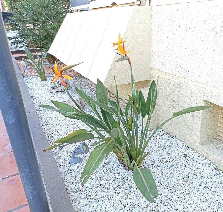 Apartamento Bikini Miami Platja  Exterior foto